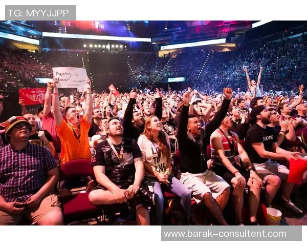 EDG在精英赛中的状态分析与表现评估全面解读