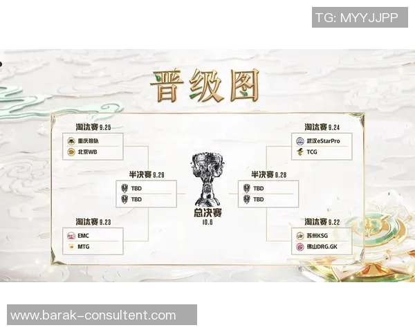 IG在挑战者杯中的团队配合表现分析与点评