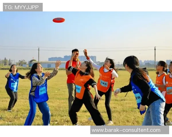 南京飞盘队的速度与激情探索飞盘运动的魅力与挑战