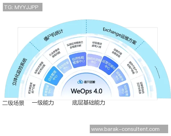 数据分析揭示WE灵活性表现的深层次影响与未来发展趋势