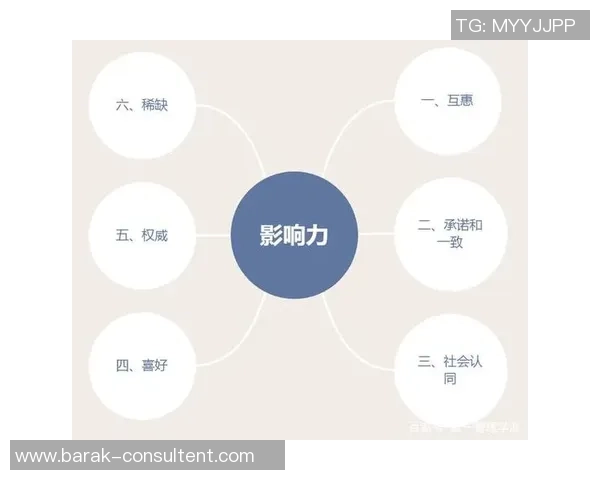 独家解析：WE意识形态的异同与影响力深度对比分析