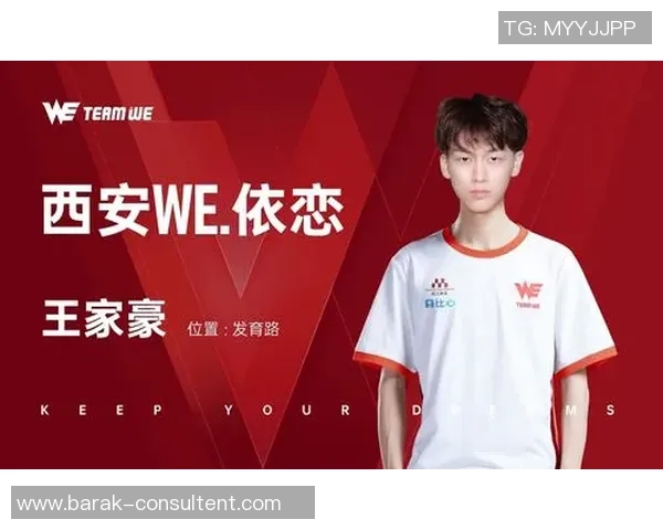 王者荣耀热议：WE战队节奏争议引发的战术思考与未来发展探讨