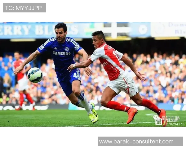 布里斯班与惠灵顿2015年精彩对决回顾与分析